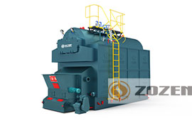 DZL Coal Fired Hot Water Boiler
