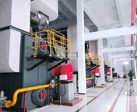 14MW SZS Condensing Gas Hot Water Boiler Project