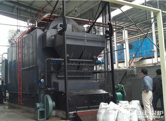 DZL Biomass Water Fire Tube Hot Water Boiler