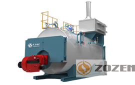 WNS Gas Fired Hot Water Boiler