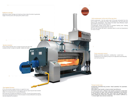 WNS Gas Fired Hot Water Boiler