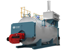 WNS Gas Fired Hot Water Boiler