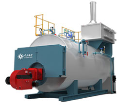 WNS Gas Fired Hot Water Boiler