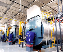 14MW WNS Condensing Gas Fired Boiler Project